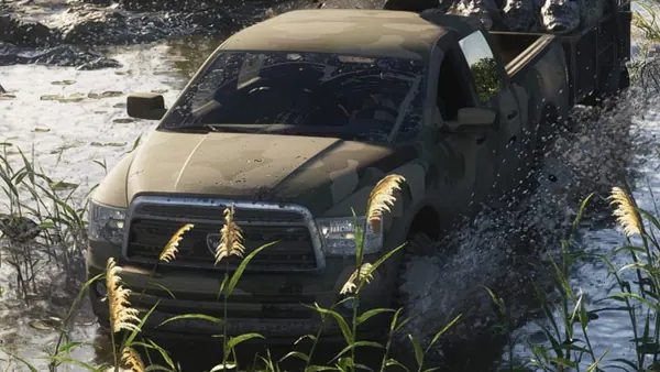 Bison