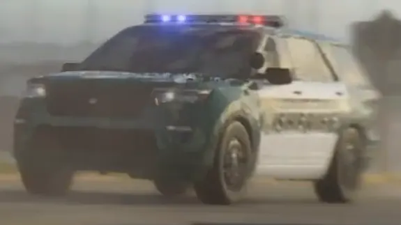 Montagne (police)