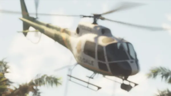 Police Maverick