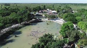 Everglades Alligator Farm, real life